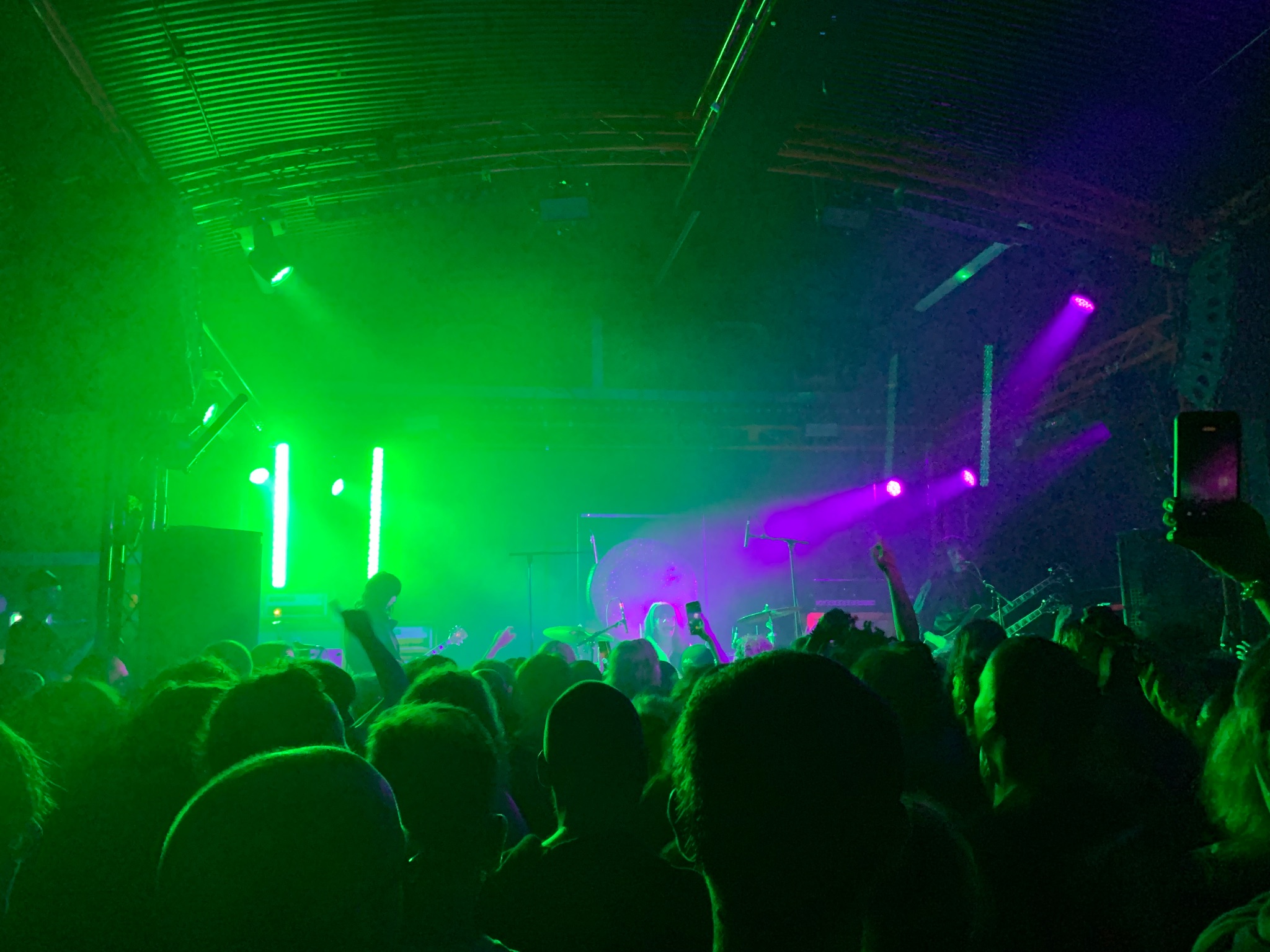 Boris at Gorilla